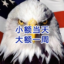 九湖镇要账公司